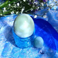 ライトブルー桜2026💙