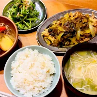 豚の高菜炒めの晩御飯|ヨシュアさん