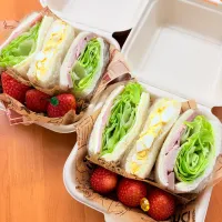 2026 4月3日　娘手作りお花見サンドイッチ弁当|あけみさん