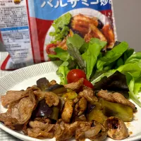 豚もも肉のバルサミコ炒め|Michiyo Shimizuさん