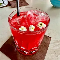 Hibiscus Margarita| gonbenさん