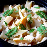 朝掘り竹の子どっさり