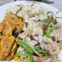 タンドリーチキンと豚もやし|kazzz3さん