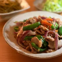 野菜をたっぷり食べる生姜焼きプレート|kaeさん