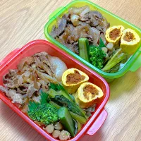 夫と次女のお弁当🍱🍙|シズソラさん