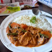 大豆のお肉でハヤシライス|とんちんさん