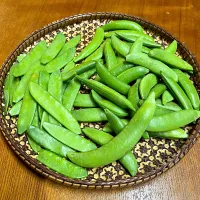 2026スナップエンドウ🫛サヤエンドウ初収穫|henryさん