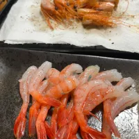 甘海老🍤|さんだーさん