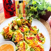 バーニャカウダ風✖︎辛みそディップで食べる宝石箱✨彩り野菜の生春巻きwith大豆のお肉ブロック|🌺🌺Foodie🌺🌺さん