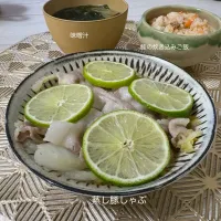 20260406（夜）|くるちあーにさん