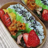 2026.4.7 #166|akiko.sさん