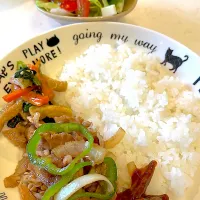 おっさんワンプレート　ピリ辛こんにゃく　焼き肉　俺のチンピラ　サラダ| ひげおやじさん