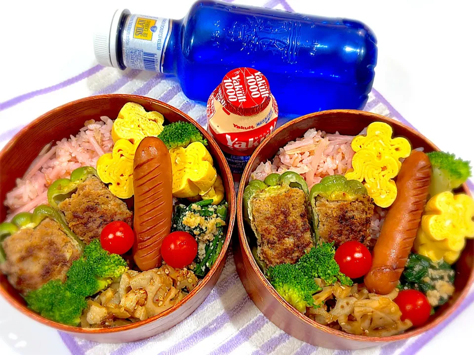 今日の夫婦弁⁽⁽ ◟(灬 ˊωˋ 灬)◞ ⁾⁾💕|桃実さん