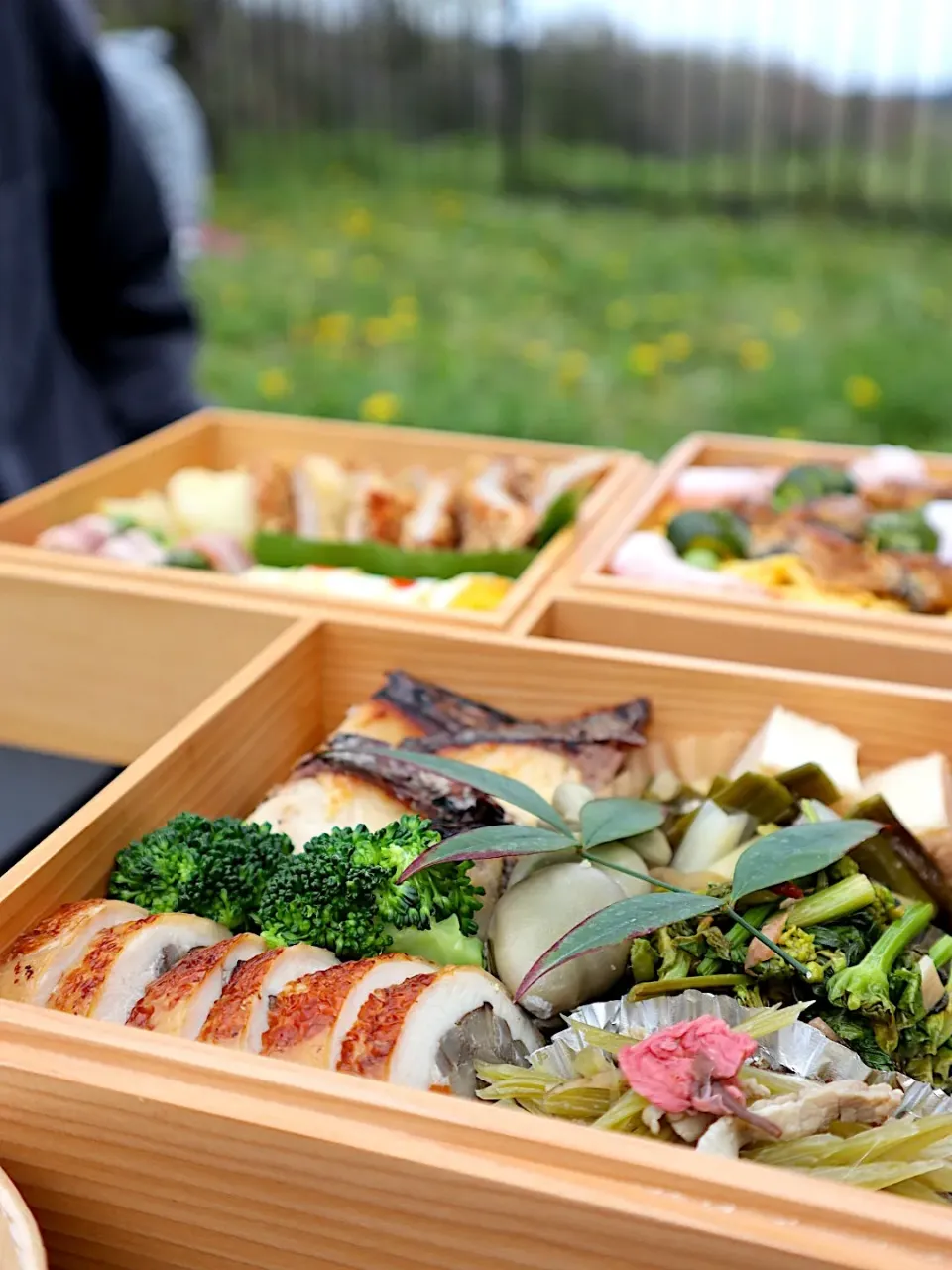 お花見弁当|@chieko_tanabe_さん