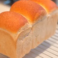 パンドミー|みーしゃさん