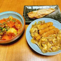 サバの塩焼き
カツ煮
半分残ってたトマト缶で肉じゃが|naoさん