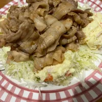 #夕飯　ポーク焼肉、千切りキャベツ、ポテサラ|ms903さん