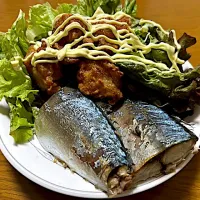 唐揚げ🍗と鯖の塩焼き❗️╰(*´︶`*)╯♡✨|サソリさん