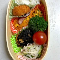 4月８日　妻の弁当|ヒロミ🏝🏝🏝🌺🏄🌊🐬🏄‍♀️🏄‍♂️🍹🐠👙🌺さん