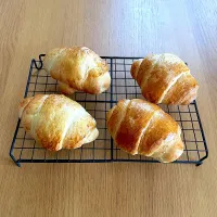 全粒粉入りロールパン|sachi ＊さん