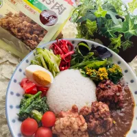 大豆のお肉ブロックで唐揚げトッピングのカレーライス🍛|🌺🌺Foodie🌺🌺さん
