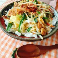 大豆のお肉でちゃんぽん丼|shibababaさん