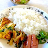 おっさんワンプレート　ピーマンしりしり　ポークピッツ　俺のチンピラ　卵焼き　サラダ|ひげおやじさん