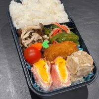 4/9 旦那弁当⁂ヒレカツ&シュウマイ弁当|ゆさん