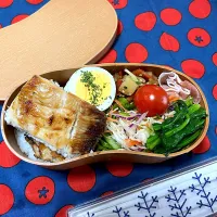 自分弁当🍱|がおりんさん