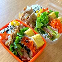 夫と次女のお弁当🍱🍙|シズソラさん