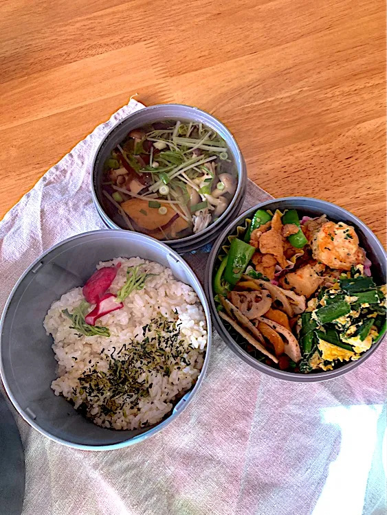 旦那さんお弁当🌸|さくたえさん