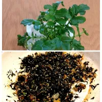 【リボベジ大根葉×芽ひじき】ソフトふりかけ|みりさん