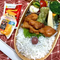 4/10 焼鳥弁当|JUNe28さん