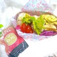 お弁当1|Ameriさん