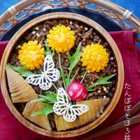 たんぽぽそぼろ丼弁当|kukulutomo ❁𓎪 ⡱𓎩‎𐩢𐩺𓎪 ⡱さん