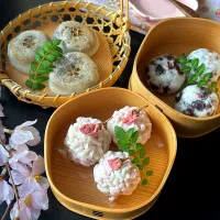 桜尽くしの和菓子でお花見|とんちんさん