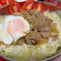 🐖豚丼🐖|S4K4N4 SUK1さん