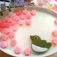 お花見メジロの牛乳寒天ゼリー|きこりnoteさん