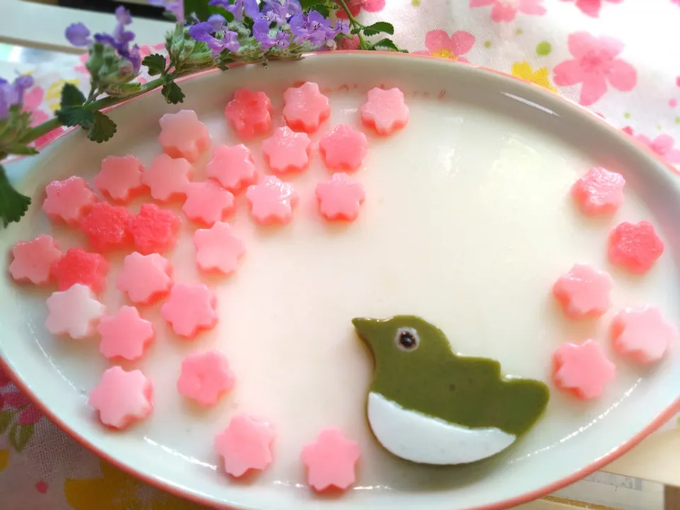お花見メジロの牛乳寒天ゼリー|きこりnoteさん