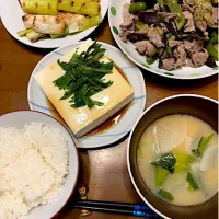 白と緑っぽい夕食|masaさん