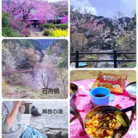 いわし缶でちらし寿司弁当| みったんさん