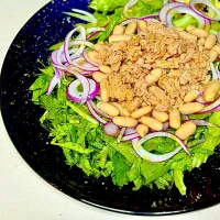 ゆうはん|にゃあ（芸名）さん