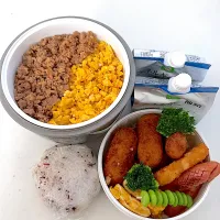 チーズささみ揚げ
ハッシュドポテト
シャウエッセン
卵焼き
ブロッコリー
枝豆
二色そぼろご飯
補食🍙･エナジーゼリー×2|ayumomさん