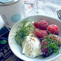 健全な朝酒|くまちゃんさん