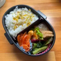 今日の地味弁　26.4.11|aru_sakazakさん