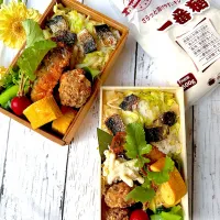 春キャベツのちらし寿司|ひろこさん