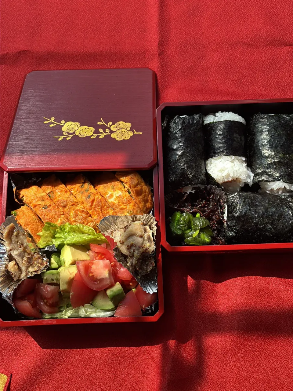 あるもんでお弁当❣️桜が散りかけだけど綺麗です😍|tamemitiさん
