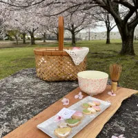 お花見野点|sonokoさん