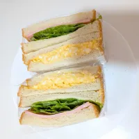 4/11のお弁当　サンドイッチ🥪|卯月さん