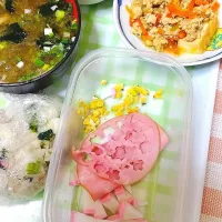 気合いを入れたお花見お弁当を作った日の私の晩御飯の現実。|まゆめろさん